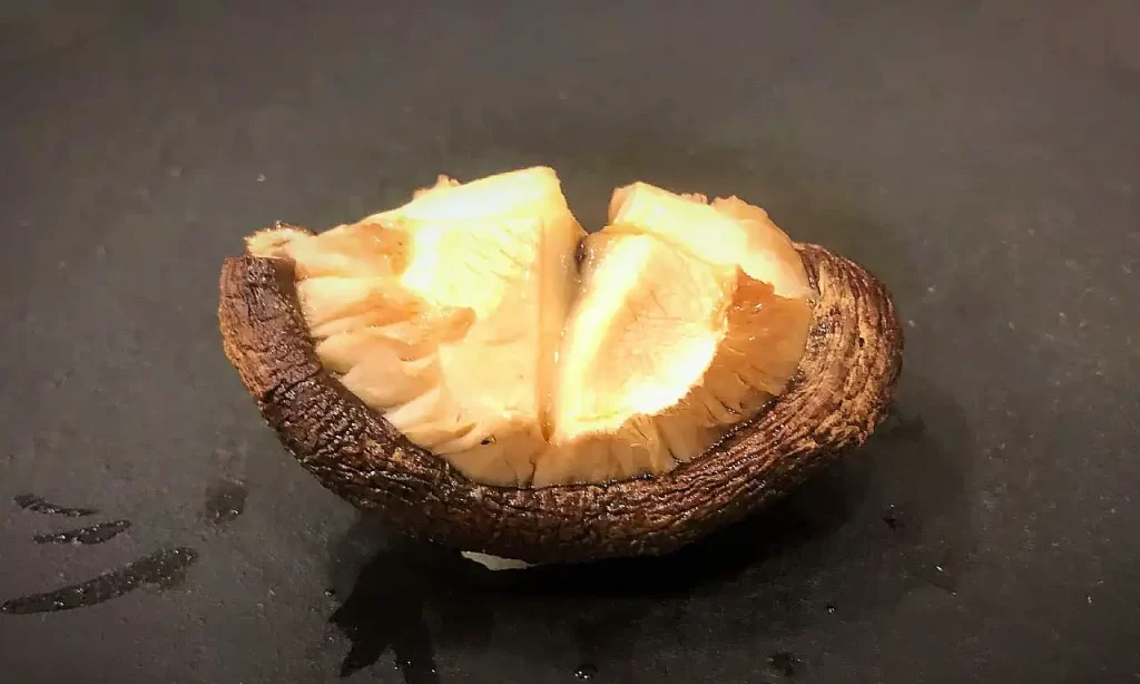 shiitake (nigiri zushi)